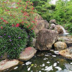 Yue Chinese Restaurant User Photo