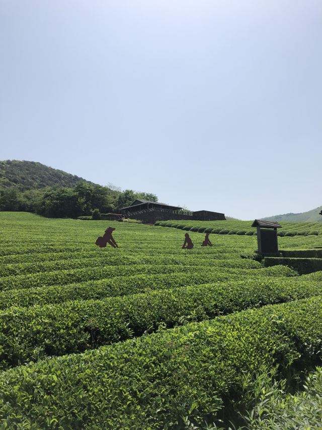 룽츠산(용지산) 자전거 공원