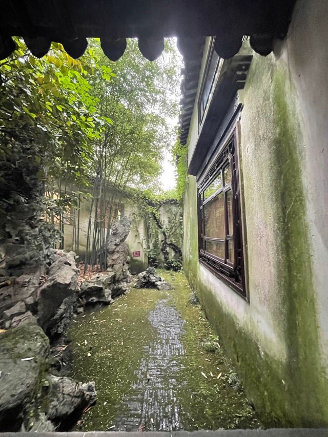 Lingering Garden