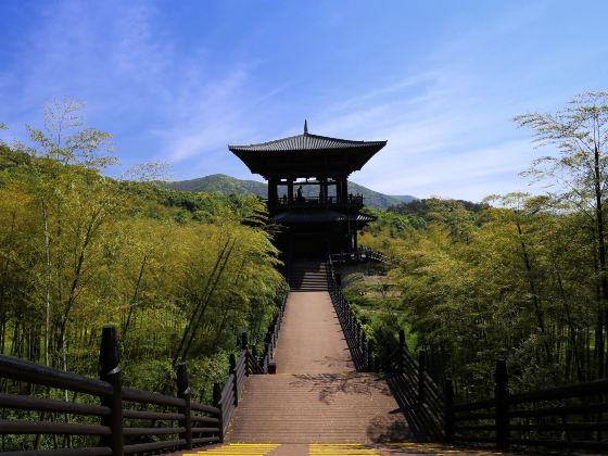 Shuikou Tea Culture Scenic Area