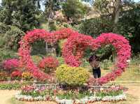 Xiamen Botanical Gardens