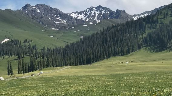 Nalati Sky Grassland