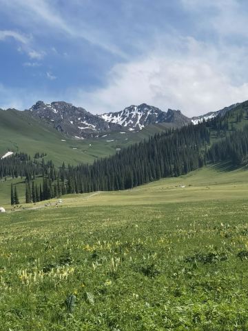 Nalati Sky Grassland