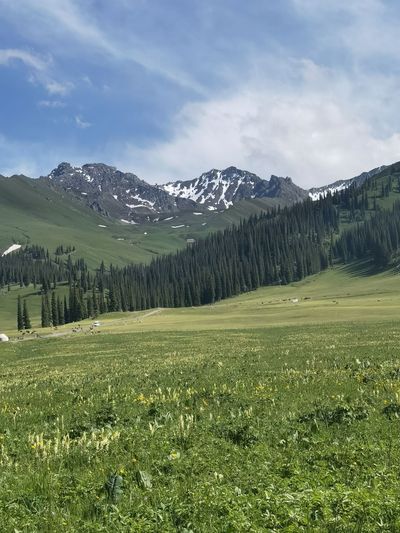 Nalati Sky Grassland