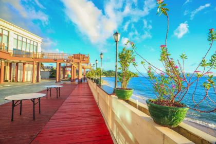 海王子學習型酒店·海龜中餐廳