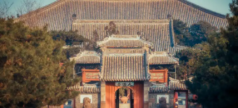 yiju Properties in Jinzhou