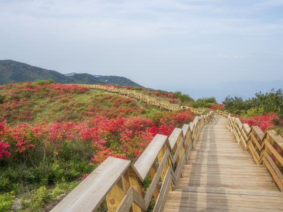 Taoyuan Peak