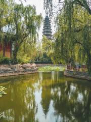 Buddhas Pagoda