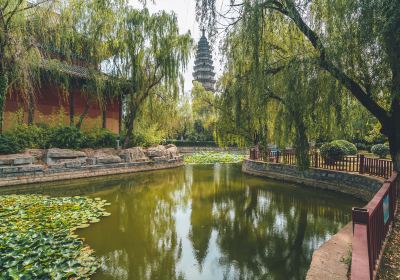 Buddhas Pagoda