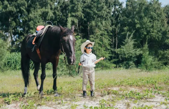 博鰲亞洲灣馬術俱樂部國際馬術一對一培訓課大小同價