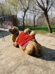 Xichang Yuanjiashan Zoo (Northwest Gate)