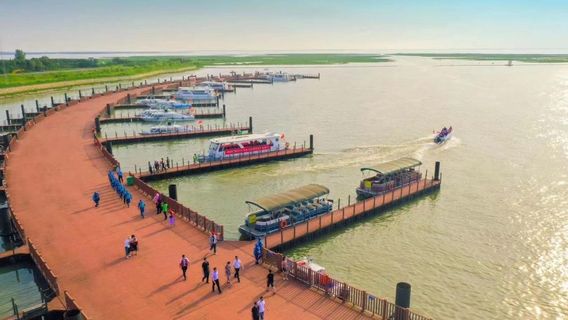 Golden Bay Flower Sea