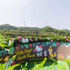 HELLO KITTY SHOW BOX User Photo