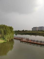 Donghu Wetland Park