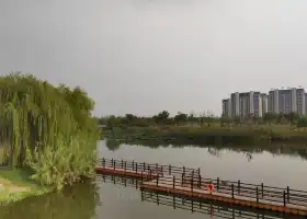 Donghu Wetland Park