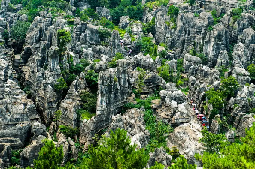 완성 석림 주변 호텔