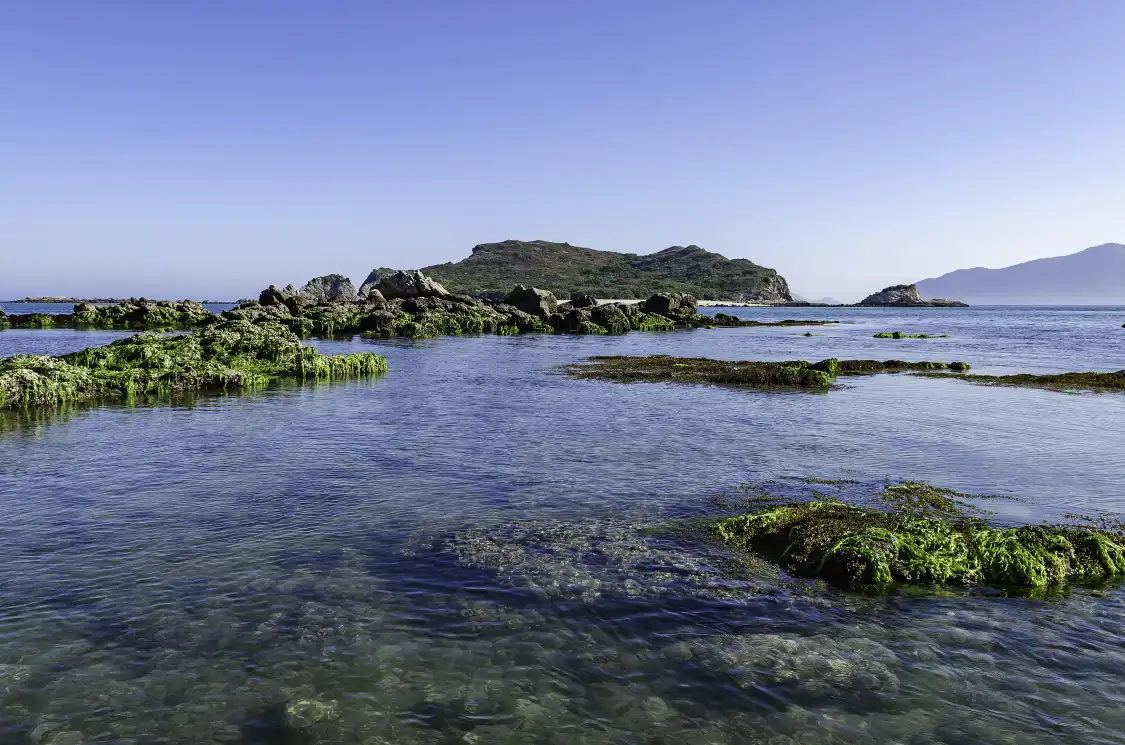 Hotel in zona Dajia Island Leisure Paradise