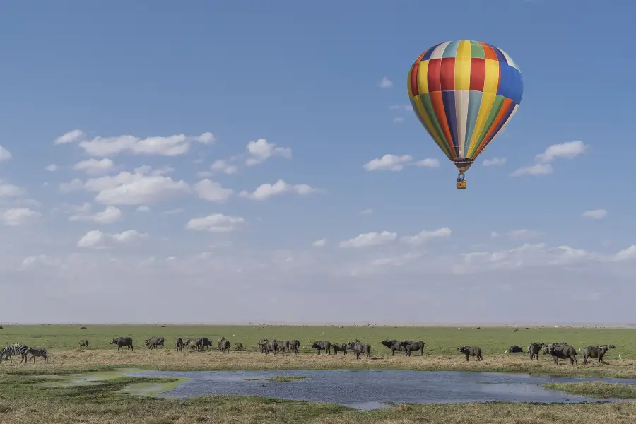 Hot Air Safaris