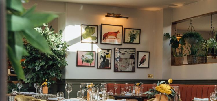 The Fox at Willian