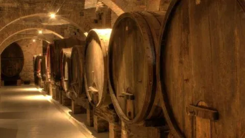 Envy Wine Room in スプリング
