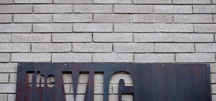 The Vig