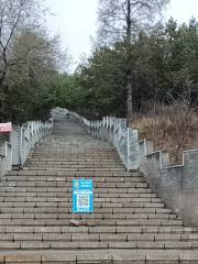 Dongshan Park