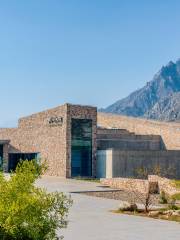 Ningxia Art Museum