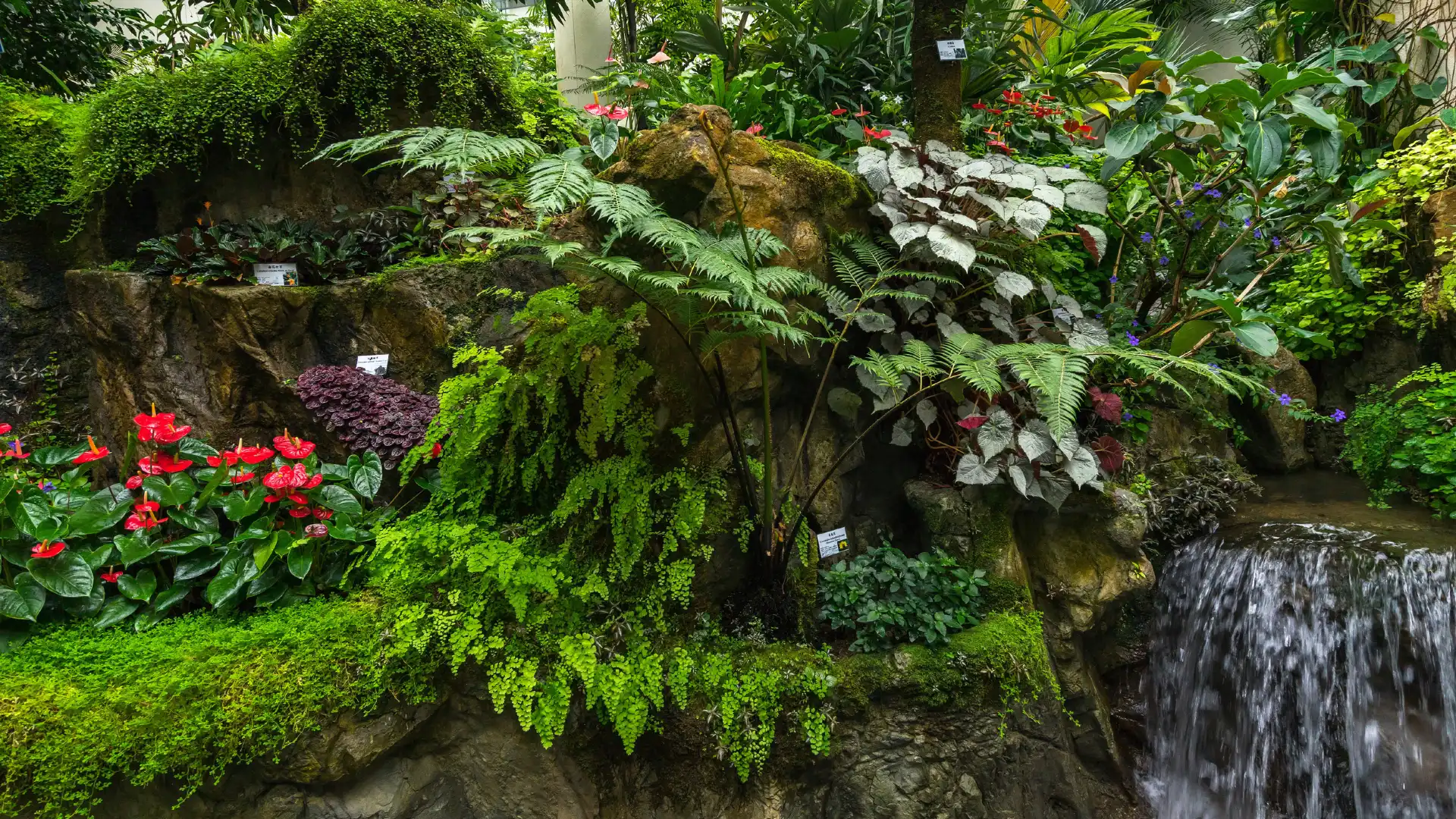 Hotels near Hong Kong Zoological and Botanical Gardens Green House