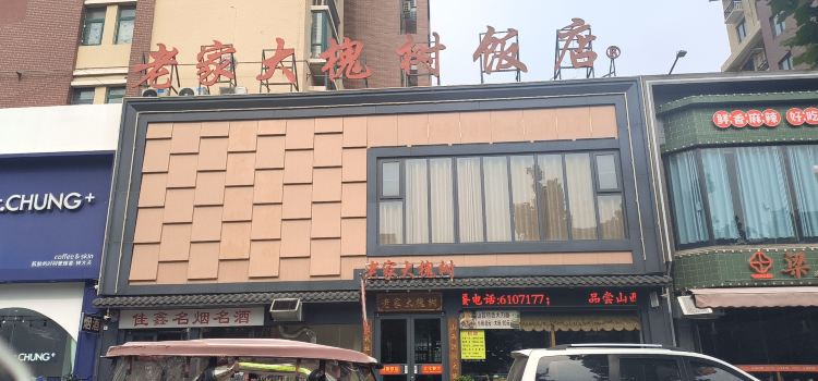 老家大槐树
