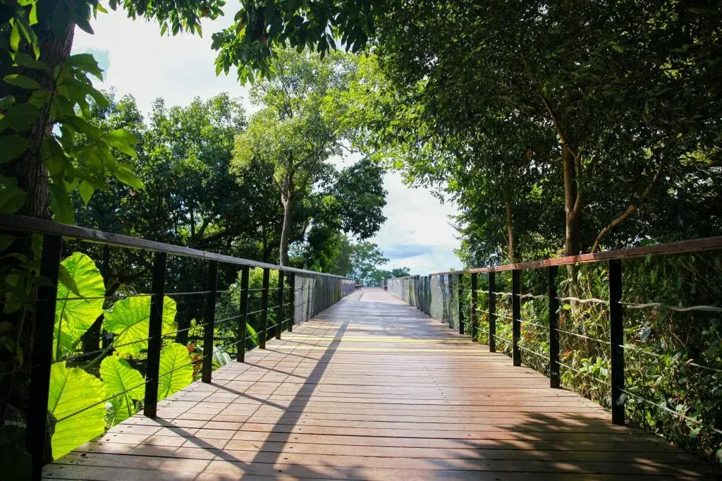 4_台東原生應用植物園