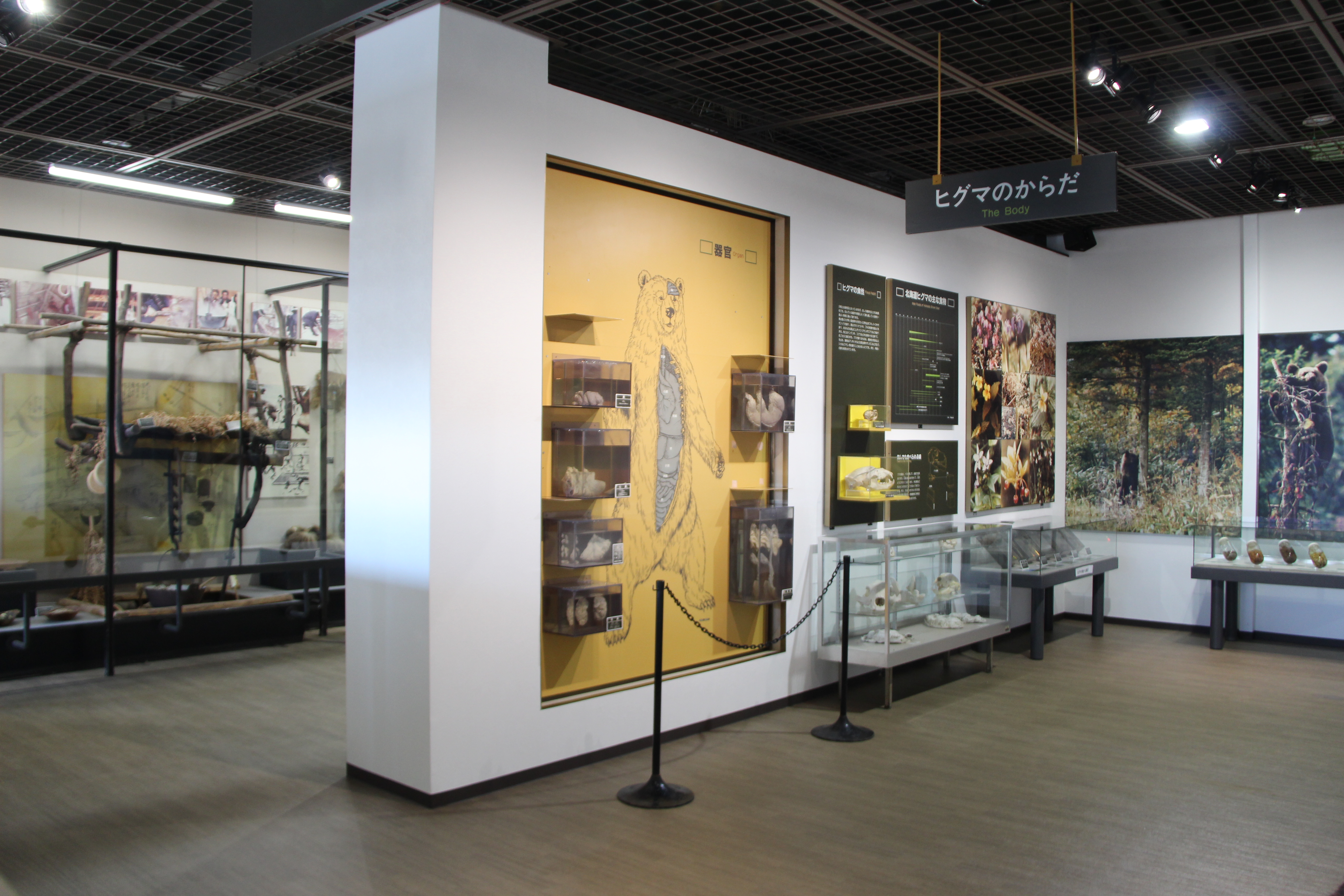 北海道 のぼりべつクマ牧場 入場チケット（ケーブルカー含む）予約（即日発券）