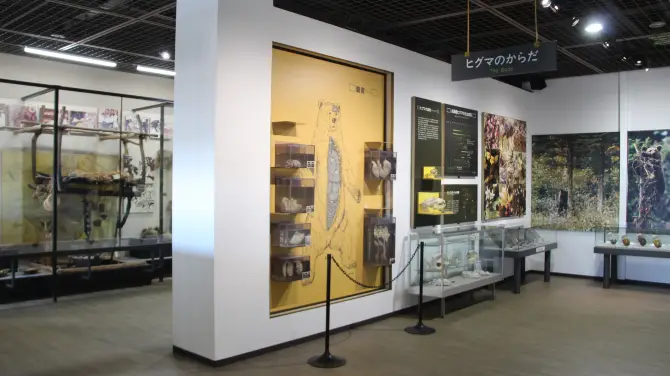 2_登別熊牧場