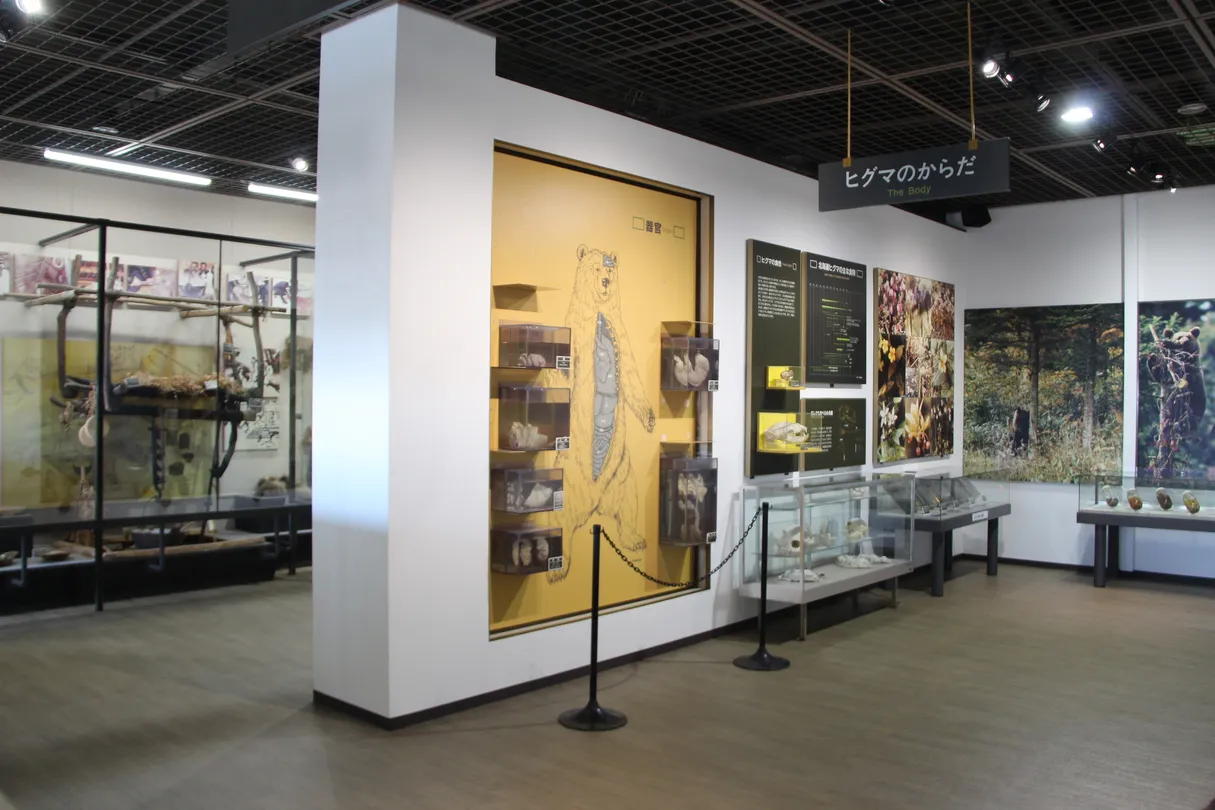 2_Noboribetsu Bear Park