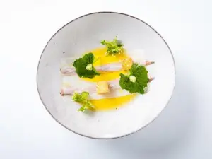 Ca sento