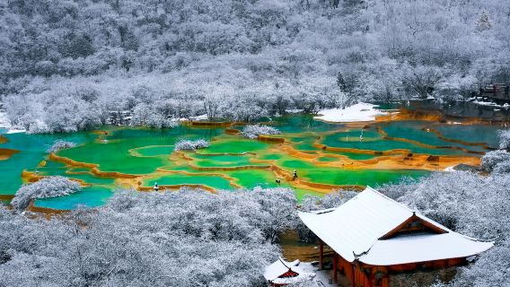 黃龍風景名勝區一日遊包車含入場門票純玩可九黃動車或九寨溝出發