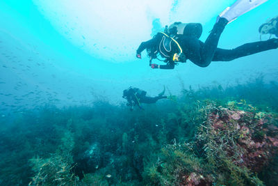 Gold Coast Scuba