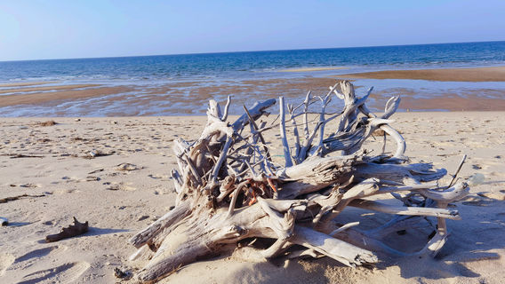 Hainan Qizi Bay Coastal Resort