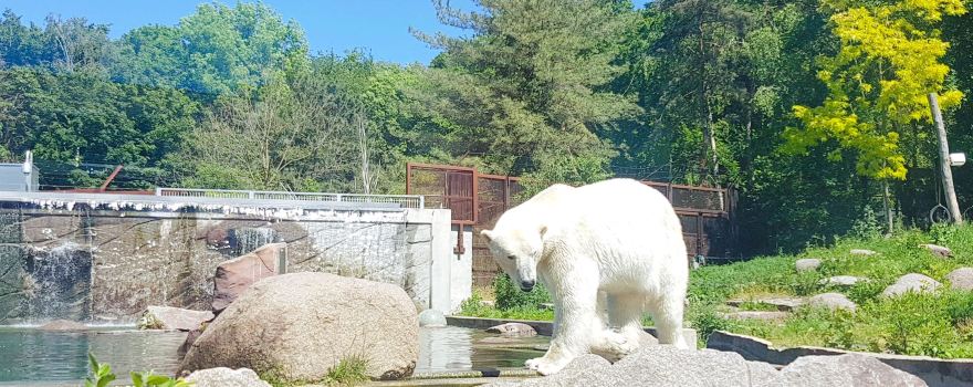 Zoological and Botanical Park of Mulhouse