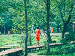 Musicians Park