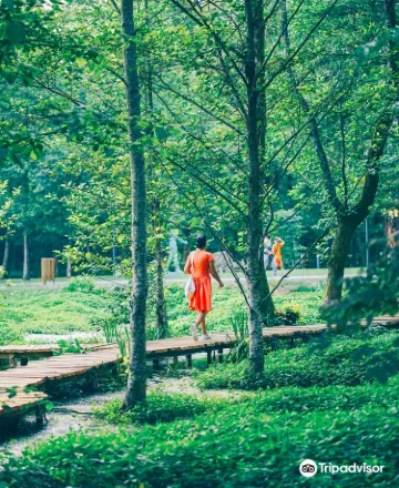 მუსიკოსთა პარკი