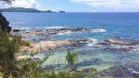 The Tip of Borneo