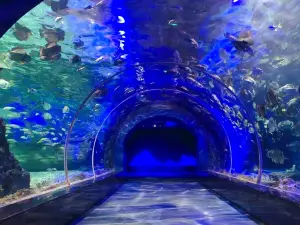Zunyi Ocean World