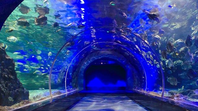 Zunyi Ocean World