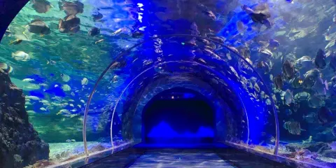 遵義冰雪海洋世界