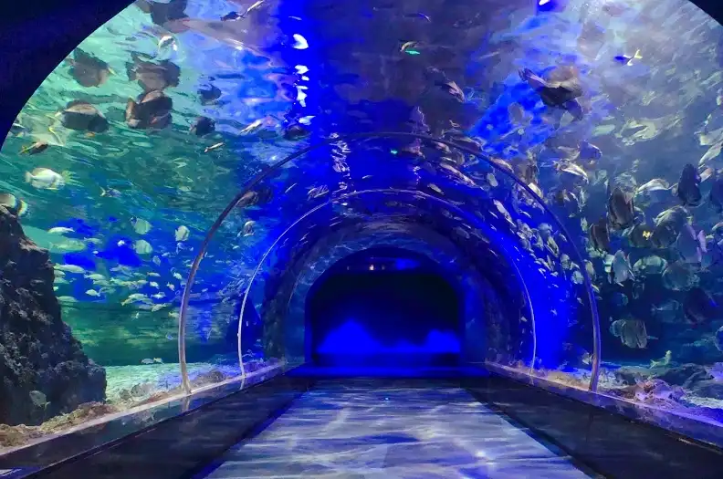 Hotels near Zunyi Ocean World