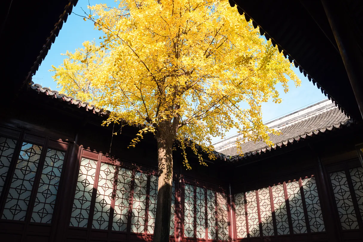 2_瞻園