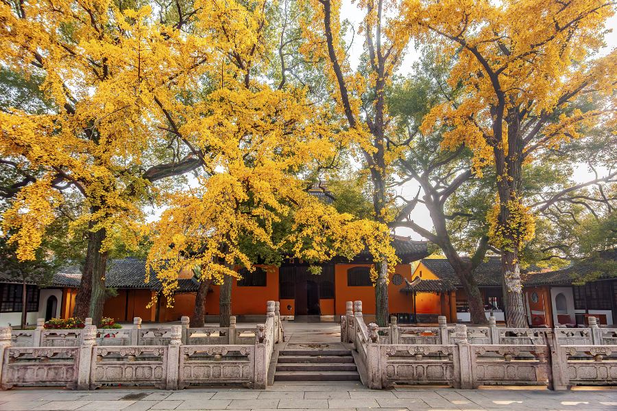 西園寺