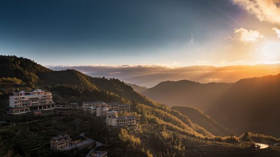 Xinyi Ma'an Bamboo Sea Tourist Area