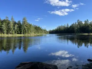 Independence River Wild Forest