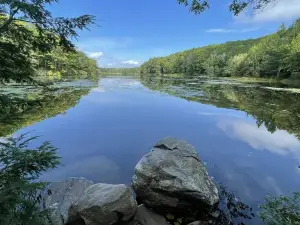 Beartown State Forest